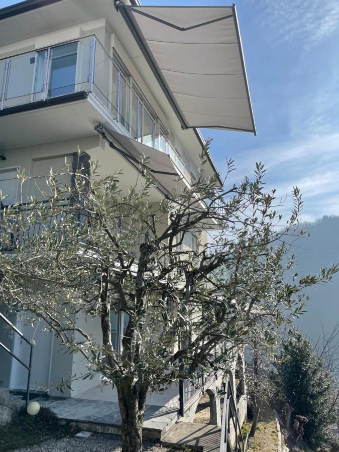 Casa Colmegna Mit Traumhaften See- Und Bergblick Luino Luaran gambar
