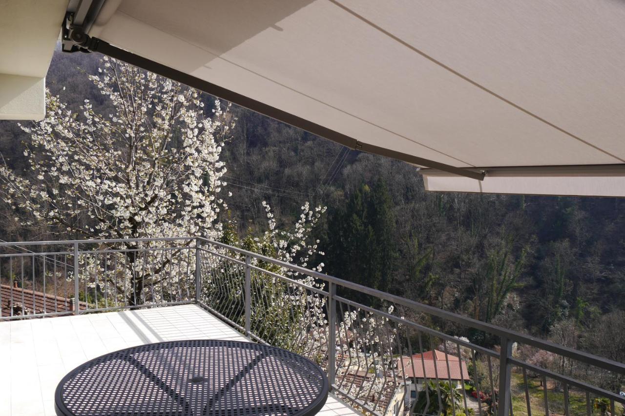 Casa Colmegna Mit Traumhaften See- Und Bergblick Luino Luaran gambar